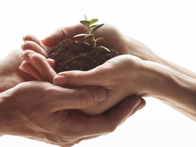 Lead-nurturing-perche-e-importante-per-la-lead-generation-brandstorm